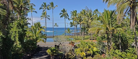 View from living room.  Richardson's Beach Park across the street.