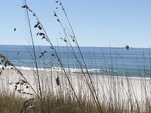 Beachfront