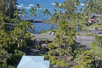 Best Hilo Location. Luxury Ocean Frt, black sand & turtles @ Richardsons Beach