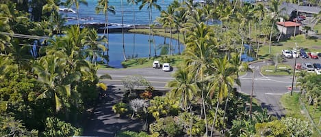 Aerial view overlooking private yard and beach park.