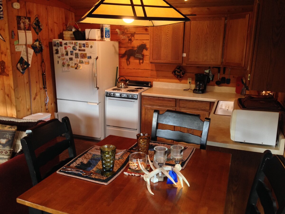 Deer Creek Cabin – a Log Cabin in the Rockies of Colorado!