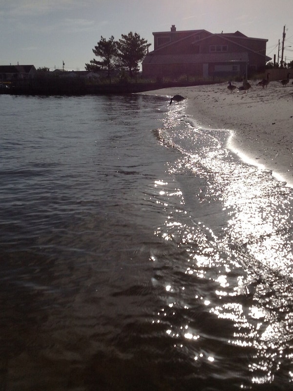 Tranquil Bay Beach Just One Block Away, Perfect for Casual Swimmers