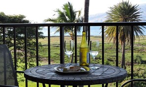 Enjoy the View from the Beautiful Lanai