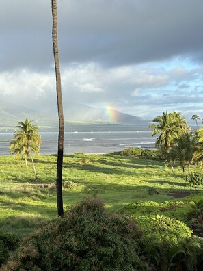 View from Condo
