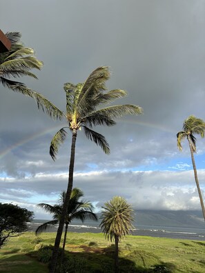 View from Condo