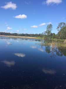 1 Bed 1 Bath Pet Friendly Cracker Style Cabin in Historic Orange Springs Florida