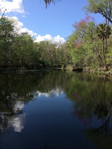 1 Bed 1 Bath Pet Friendly Cracker Style Cabin in Historic Orange Springs Florida