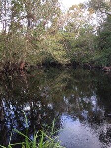 1 Bed 1 Bath Pet Friendly Cracker Style Cabin in Historic Orange Springs Florida