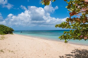Beach at White Sands