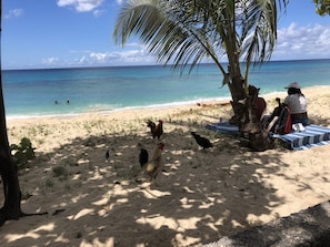 Qiet beach scene, a few steps from the penthouse.