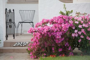 Front Entry and Courtyard