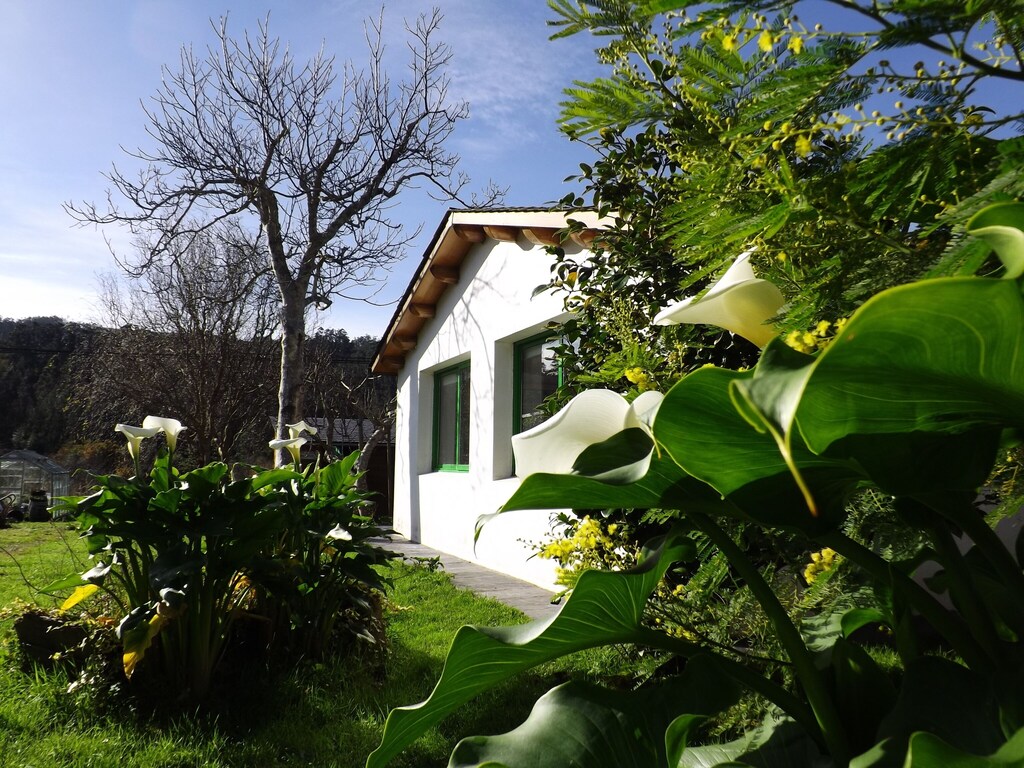 Picture of villa
