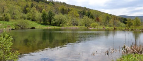 1 of 4  ponds. This pond is 1 acre and Fully stocked.