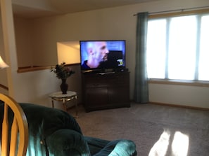 47" LCD TV in living room