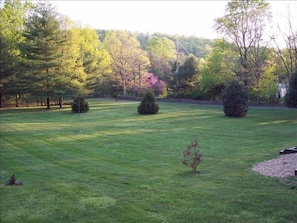 Porch View