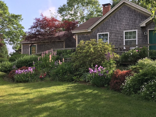 Shadows on a late afternoon in summer. Cottage to the right; garage on left.