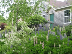 Front of the cottage overlooks a lawn and gardens. Window is “Garden View” room.