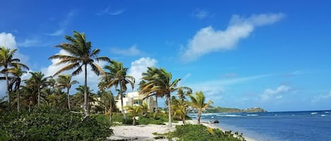 There are some great reefs just off the beach close to the condo that make for a great snorkeling experience. There is a area for swimming just to the west down the cove, close to the hotel and restaurant area.