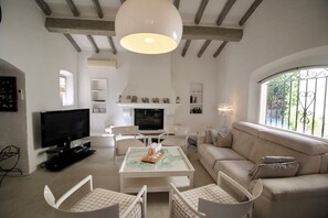 salon cheminée