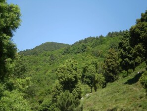 Blick aufs Gebirge