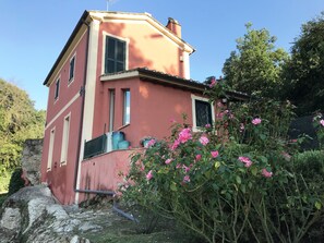 The external view of the red house and the roses.