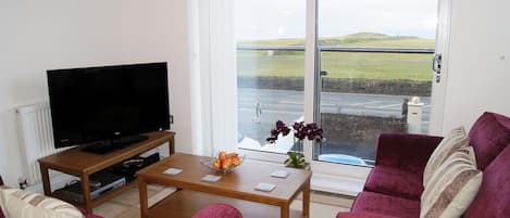 Lounge, overlooking the sea & green Barrowfields