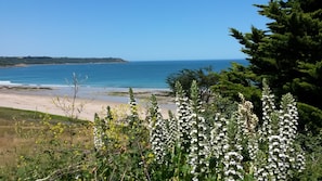 Plage des Sables blanc à Locquirec