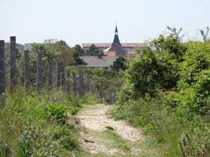 Trails through the dunes