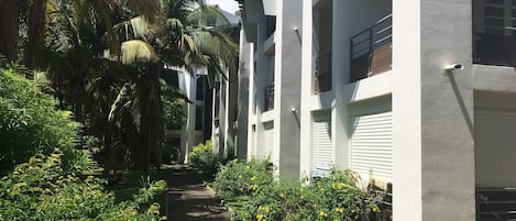 Dans un jardin tropical en bord de mer