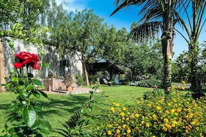 The private garden with palm trees, perfect lawns and an orchard with all kind of fruit trees.