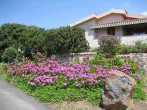 Flowers in front of the house