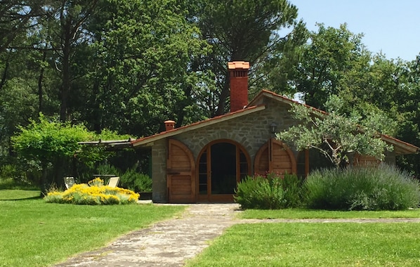 overall view