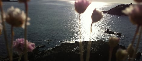 Cornish Seascape