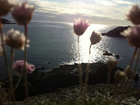 Cornish Seascape