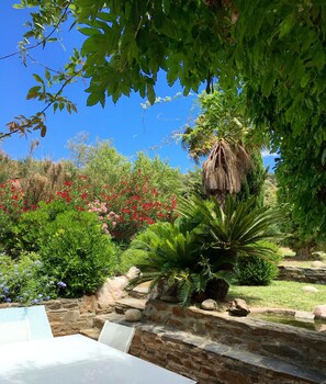 Under the wisteria ...