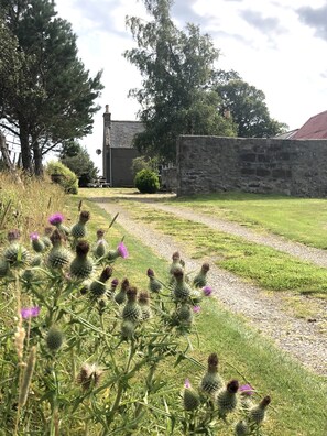 Jardines del alojamiento