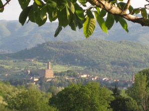 view from terrace