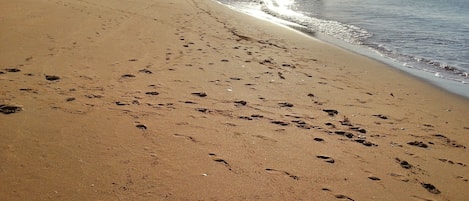 Praia Nova junto à praia da Sra. da Rocha às 8h da manhã em Agosto.