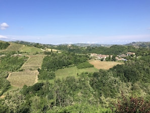 View across the valley from guest deck.