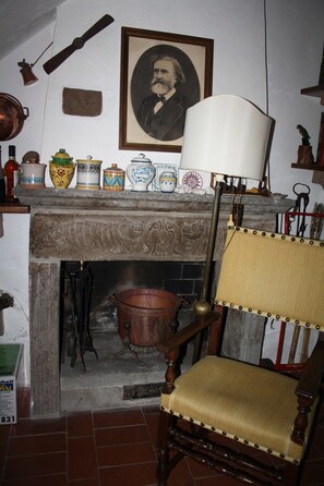 The Fireplace