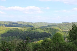 View from the house