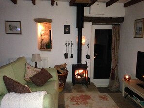 wood burning stove for cosy nights in by the fire