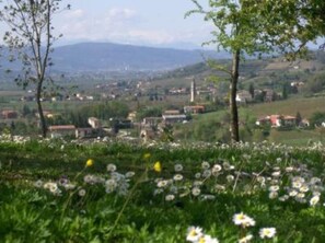 Blick aufs Gebirge