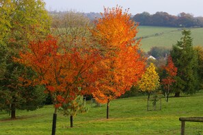 Arboretum