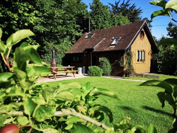 The Potting Shed- View from the garden