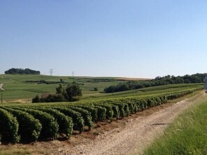Oklassificerad bild, 5 av 23, knapp