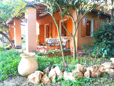 Ruhige rustikale Landhaus unter Bäumen Oliven