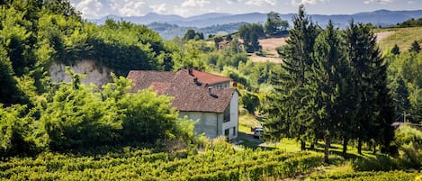 Vista della casa dalla nostra vigna