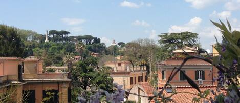 vista dalla terrazza