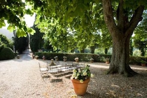 Garden, Park